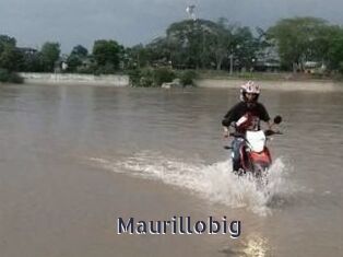 Maurillobig