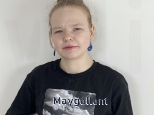 Maygallant