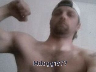 Mdogg1977
