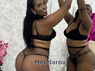 Meridaroa