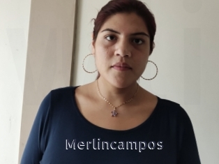 Merlincampos