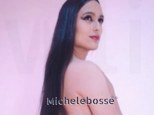 Michelebosse