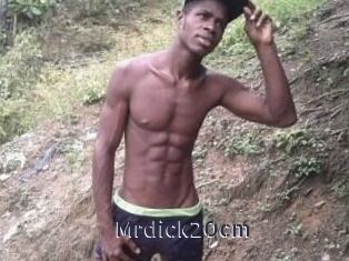 Mrdick20cm
