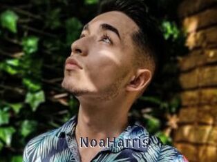 NoaHarris