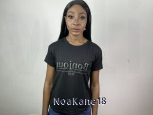 NoaKane18