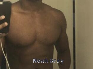 Noah_Grey