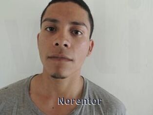Noren_tor