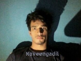 Naveengadil