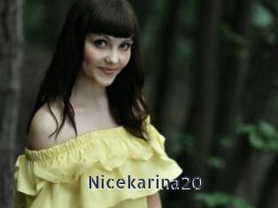 Nicekarina20