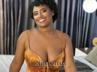 Ninacarus