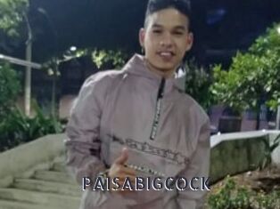 PAISABIGCOCK