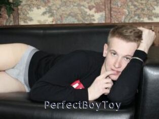 PerfectBoyToy
