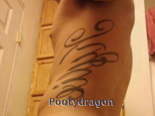 Poofydragon