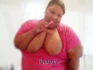 Pudgy