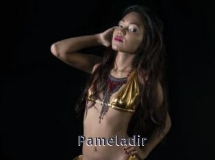 Pameladir