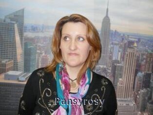 Pansyrosy