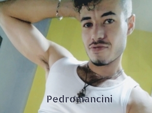 Pedromancini