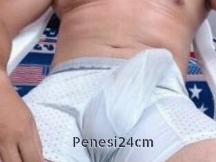Penesi24cm