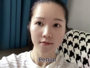 Penjin
