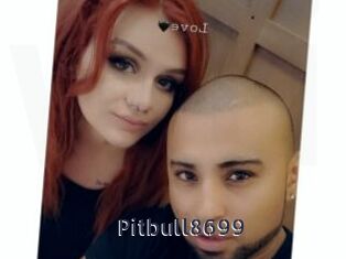 Pitbull8699