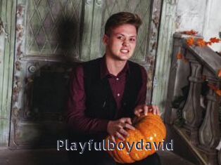 Playfulboydavid