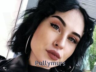 Pollymurs