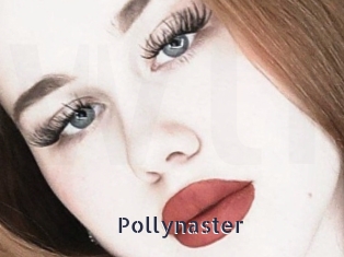 Pollynaster