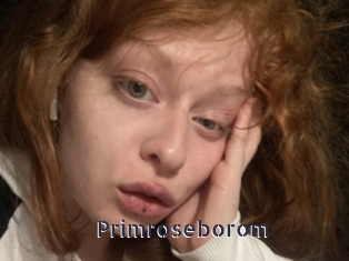 Primroseborom
