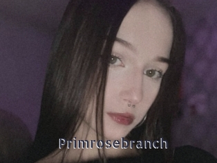 Primrosebranch