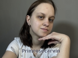 Primrosecarvin
