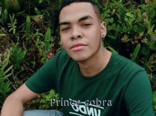prince_cobra webcam livesex