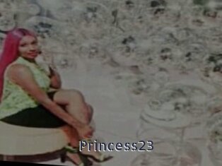 Princess23