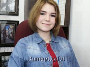 Pumaplayful