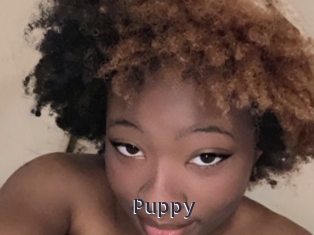 Puppy