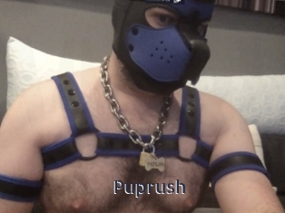 Puprush