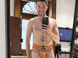 Pupstud