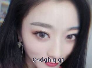 Qsdgh_q_q1