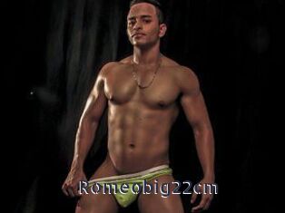 Romeobig22cm