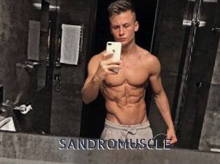 SANDRO_MUSCLE