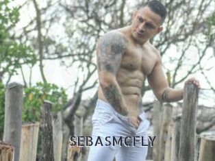 SEBASMCFLY