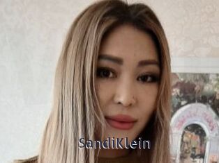 SandiKlein