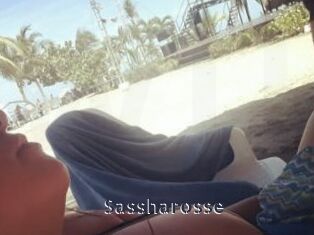 Sassharosse
