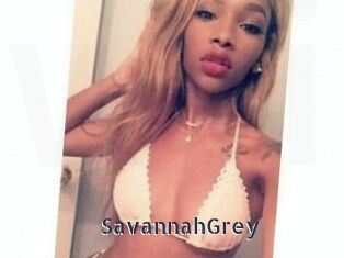 Savannah_Grey