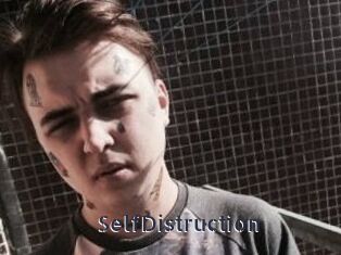SelfDistruction