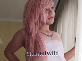 ShantalWild webcam livesex