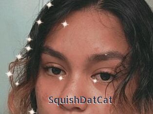 SquishDatCat