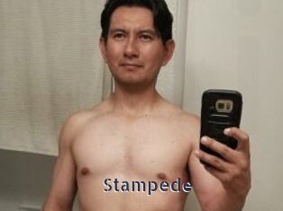 Stampede
