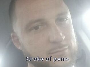 Stroke_of_penis