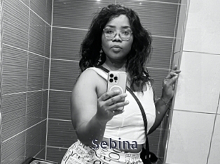 Sebina