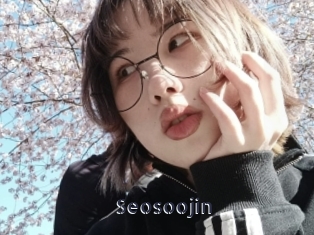 Seosoojin